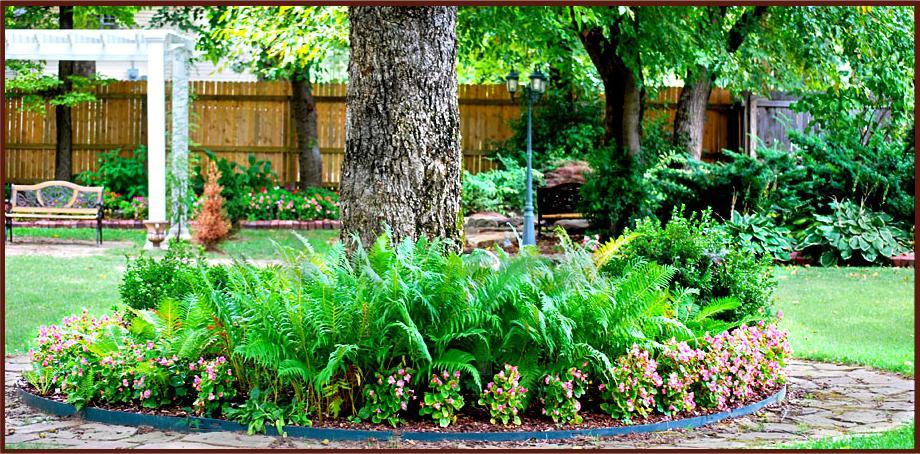 Hayes House Bed And Breakfast Мускоги Екстериор снимка